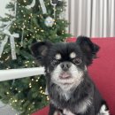 포미앤유 이미지