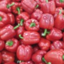 풍년마트 이미지