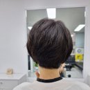 세븐미용실 | 세련된 변신을 원한다면! 신장동미용실 세븐미용실 보브컷 후기