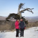 주식회사 유풍 | 태백산