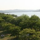 (주)그루나무