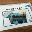 비즈버디 | 프리다이빙 PADI 레벨 2 시험합격 및 딥스테이션 방문후기(다비이즈프리 내돈내산)