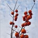 섬진강자전거길3 이미지