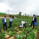 고랭지식품