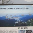 조영상사