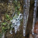 봄의기운 이미지