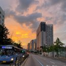 남강오리전문점 이미지