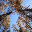 하덕 | “가평 당일치기 추천 동선! 박가네 고등어·스타벅스·몽브레뉴 솔직후기