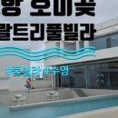 55번중매인