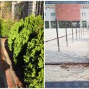 목포청호초등학교 이미지