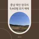 꿈이자라는땅 이미지