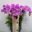 꽃나라화원 이미지