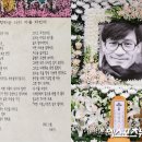 안성기 카카오 검색결과