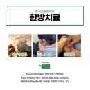 초곡365한의원 이미지