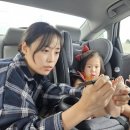 리아아이브로우 이미지