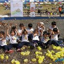 등명초등학교 이미지