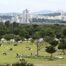 뚝섬한강공원-9 이미지