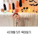 소화어린이집 | [43개월 5주 육아일기] 가을 등원룩 · 할로윈주간 · 어린이집 상담 · 주말 실내동물원 일상