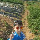 인창농장 이미지