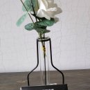 주식회사 하임자연건강 이미지