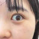 림스디자인 | 탄방동속눈썹연장 림스투에서 LED프리미엄연장 하고 화장안하고 다녀요