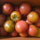 둥지2농장 이미지