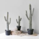 미스타일 이미지