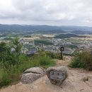 도청대로(풍천면) 이미지