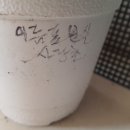 시랑초등학교 이미지