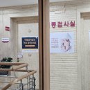 수축산 | 임신 중기 26주 3일 사타구니, 생리통같은 배통증으로 초음파, 자궁수축 및 양수검사 후기