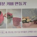 마리스플라워 이미지