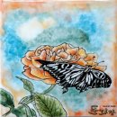 서정고등학교 이미지