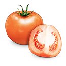 포항다이어트[scjteam]-토마토의 효능 이미지