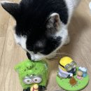 쿵푸팬더 훠궈 | [중국 베이징 4박 5일 여행]3일차: 후토우쥔 지엔빙-베이징 유니버셜 스튜디오-미스터핑 누들 하우스...