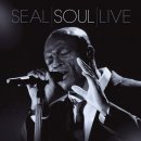 Seal - I've Been Loving You Too Long 이미지