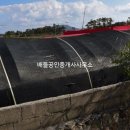 신안수공인중개사사무소 이미지