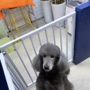 올리스 방이점 이미지