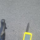 정업농장 | 2019.3.9 (토) 주전 샤방벙