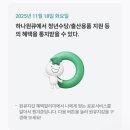 OX PC대전만년점 | 퀴즈, kb스타퀴즈, kb한국사퀴즈, kbpay오늘의퀴즈,비트버니퀴즈, 카카오뱅크OX퀴즈, 디깅퀴즈, 하나퀴즈