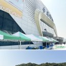(주)도로시앤컴퍼니 이미지