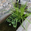 호스텔정중동 이미지