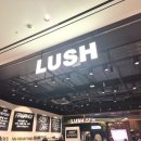 향기가득 | 러쉬 스타필드 수원점 방문 후기 향기 가득 힐링 쇼핑과 가성비 추천템