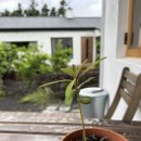 점봉여관 이미지