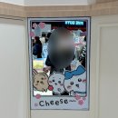 안경나라오천점 | 용산_치이카와샵