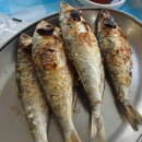 뚱수산 | 강화도 맛집 뚱수산 왕새우소금구이 바지락칼국수 전어구이