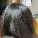 세대교체미용실