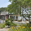 여담 대마도 1박 2일 올인클루시브 패키지 여행 식사포함