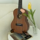 우쿠렐라 이미지