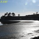 대포갯벌 이미지