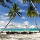 카멜리아호텔 이미지